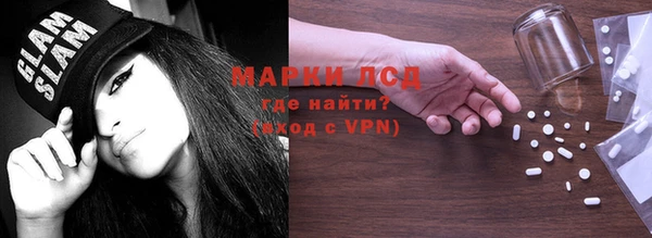 прущие грибы Вязники