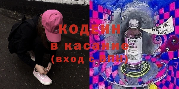 прущие грибы Вязники