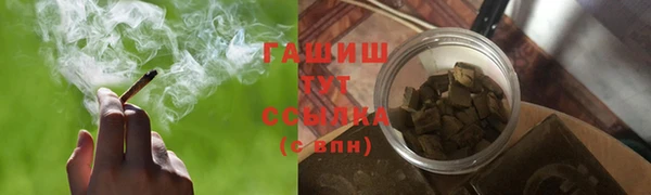 прущие грибы Вязники