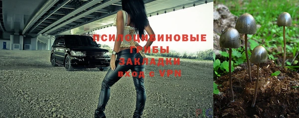альфа пвп Горно-Алтайск
