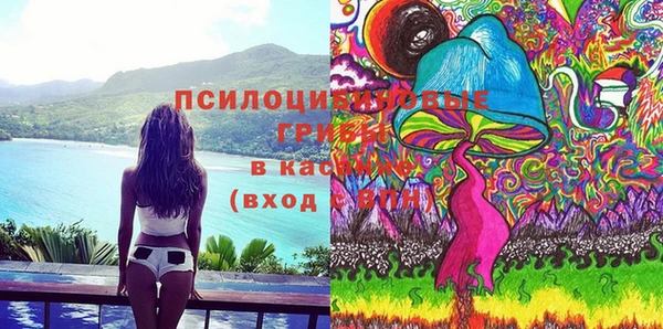 бошки Вяземский