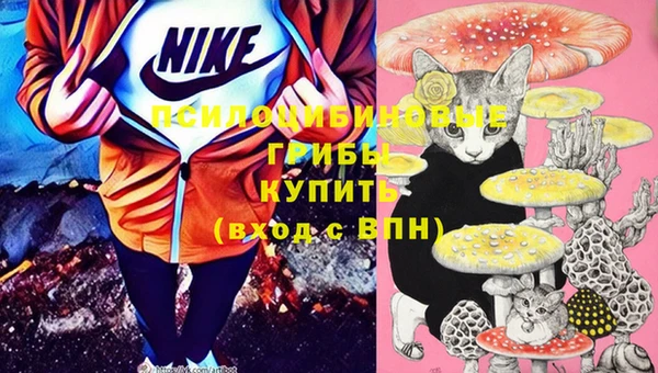 бошки Вяземский