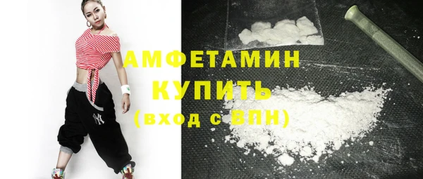 прущие грибы Вязники