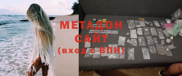 прущие грибы Вязники