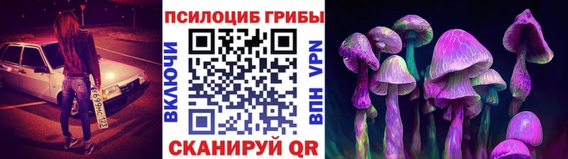 наркошоп  omg вход  дарк нет как зайти  Дальнереченск  Галлюциногенные грибы Magic Shrooms 